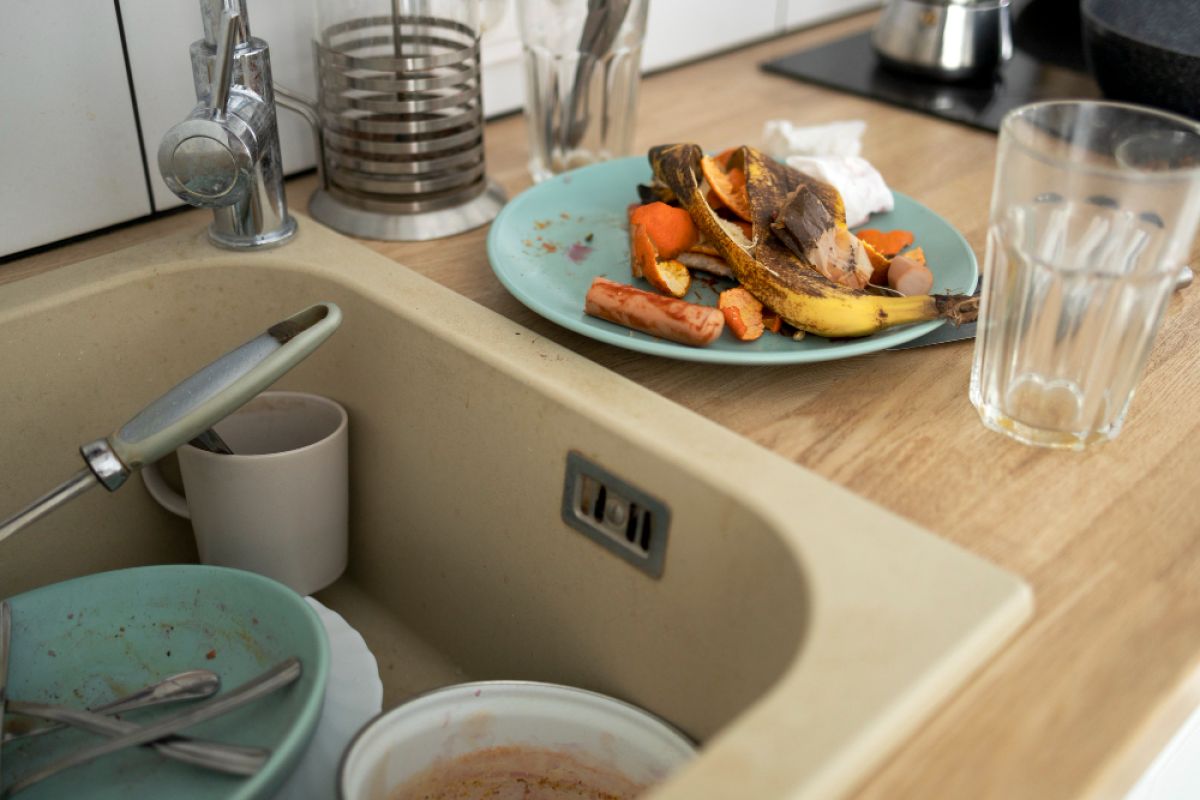 garbage disposal sink